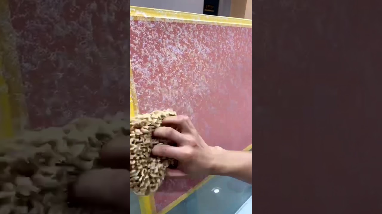 Wall painting idea! Natural sea sponge stamping!