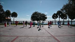 20220108 - Tavares, Florida - 6 Minute HanQing Tai Chi 2022 New Year Video