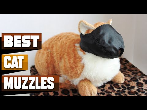 Best Cat Muzzle In 2026 - Top 10 Cat Muzzles Review