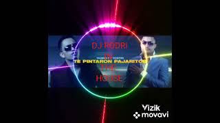 Andy Rivera - Te Pintaron Pajaritos ft. Yandar & Yostin (Official Video) (Speed Up)