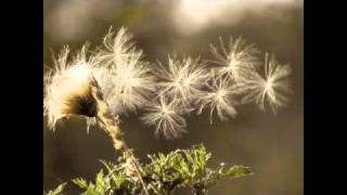 Lyrical Interlude by Oliver Rudland