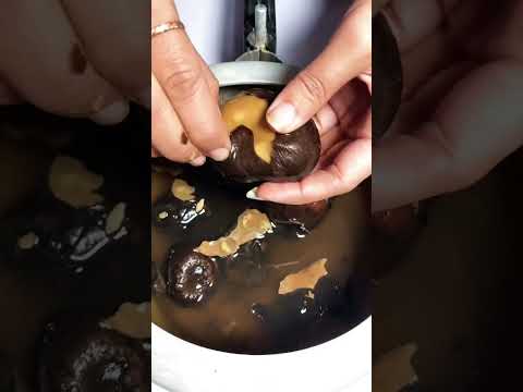 Have You Tasted This Before Air Potato Shorts 