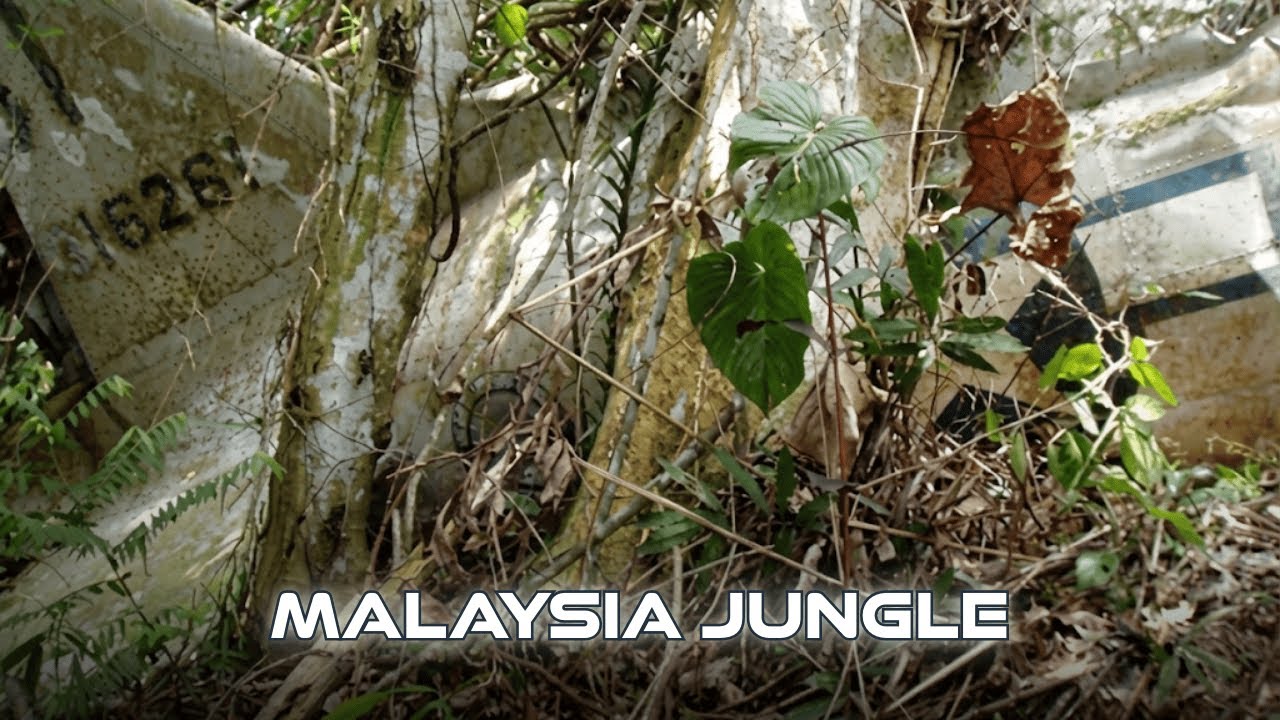 Recovering C-47B 43-16261 Dakota: Operation Gahngguh Malaysia Jungle