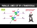 Parallel Lines Cut by a Transversal & Angle Relationships!