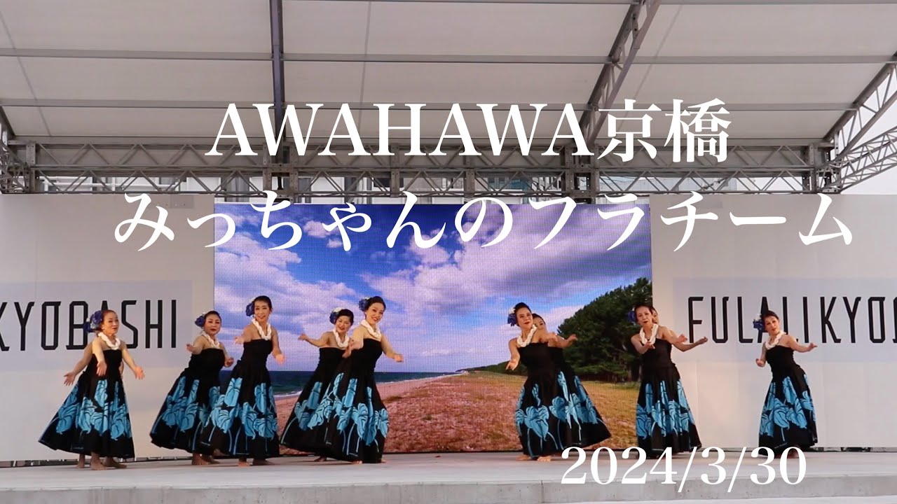 AWAHAWA2024春　みっちゃんのフラチームNo639