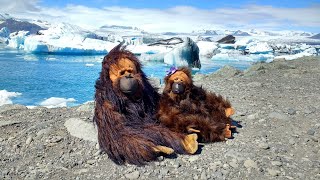 GEORGE AND CHARLIZE GO TO ICELAND - THE ORANGUTANS' TALE screenshot 4