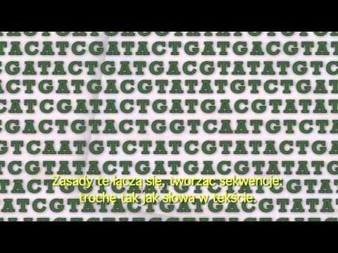 Wideo: Reannotacja Genomu CELO Charakteryzuje Zestaw Wcześniej Nieprzypisanych Otwartych Ramek Odczytu I Wskazuje Na Nowe Tryby Interakcji Gospodarza W Ptasich Adenowirusach