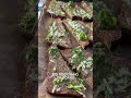Хрустящий хлеб для бутербродов 🥖 Быстро и вкусно