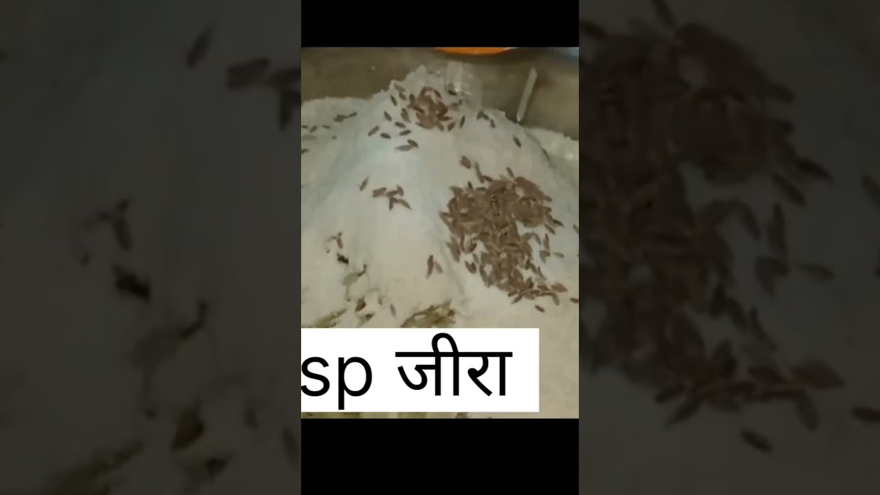 Lauki ke parathe। Watch full video on mu channel