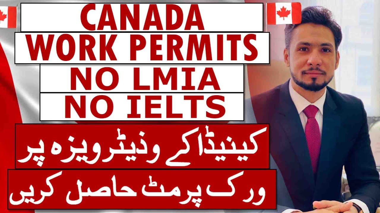 CANADA do something declare || WITHOUT LMIA & IELTS || CONVERT YOUR