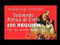 100 Requiems For The Souls In Purgatory Ruah Mission 