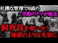 クマの餌代ケチった動物園→仕事を放棄しクマ脱走…飼育員2人食べられる。【秋田八幡平クマ牧場事故】