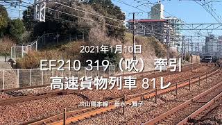 EF210 319(吹)牽引 高速貨物列車 81レ