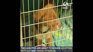 OKC Animal Shelter Adoption Event