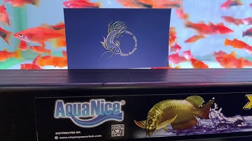 Đèn Led AquaNice Đỏ cá nhưng không đỏ nước