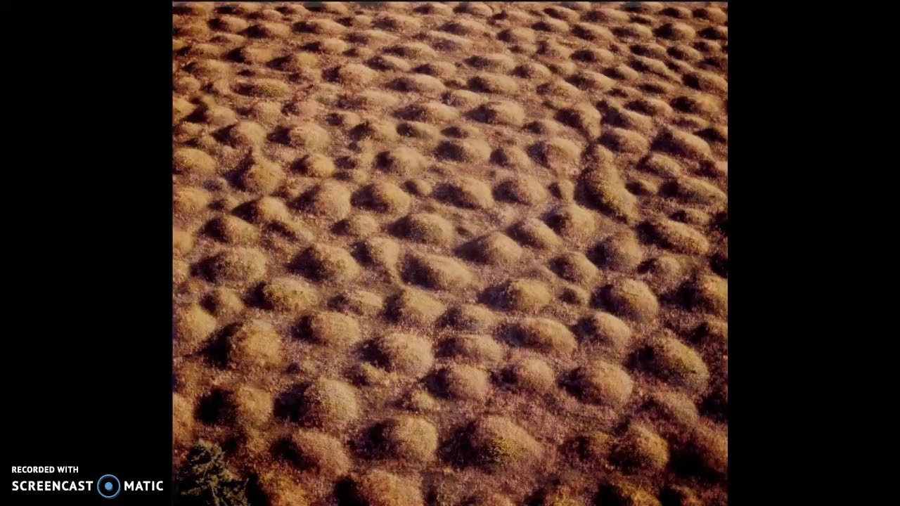 THE MYSTORY OF WASHINGTON STATES MIMA MOUNDS