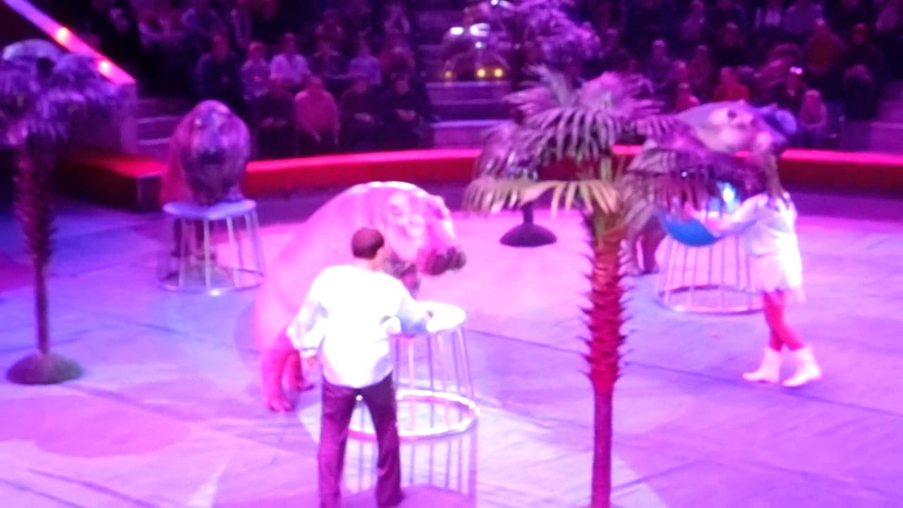 Бегемоты Тула - YouTube