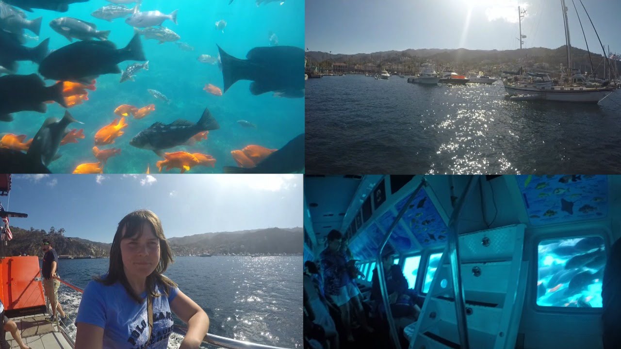Undersea Expedition Tour Santa Catalina Island CA (GoPro Hero 4 Black