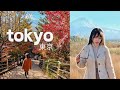 Tokyo vlog  kawaguchiko mt fuji viewing spots ryokan onsen  kaeseki experience  part 3