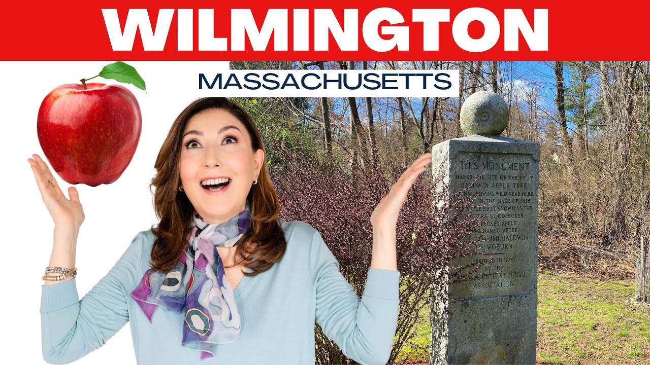 Don't Move to Wilmington Massachusetts, watch this first