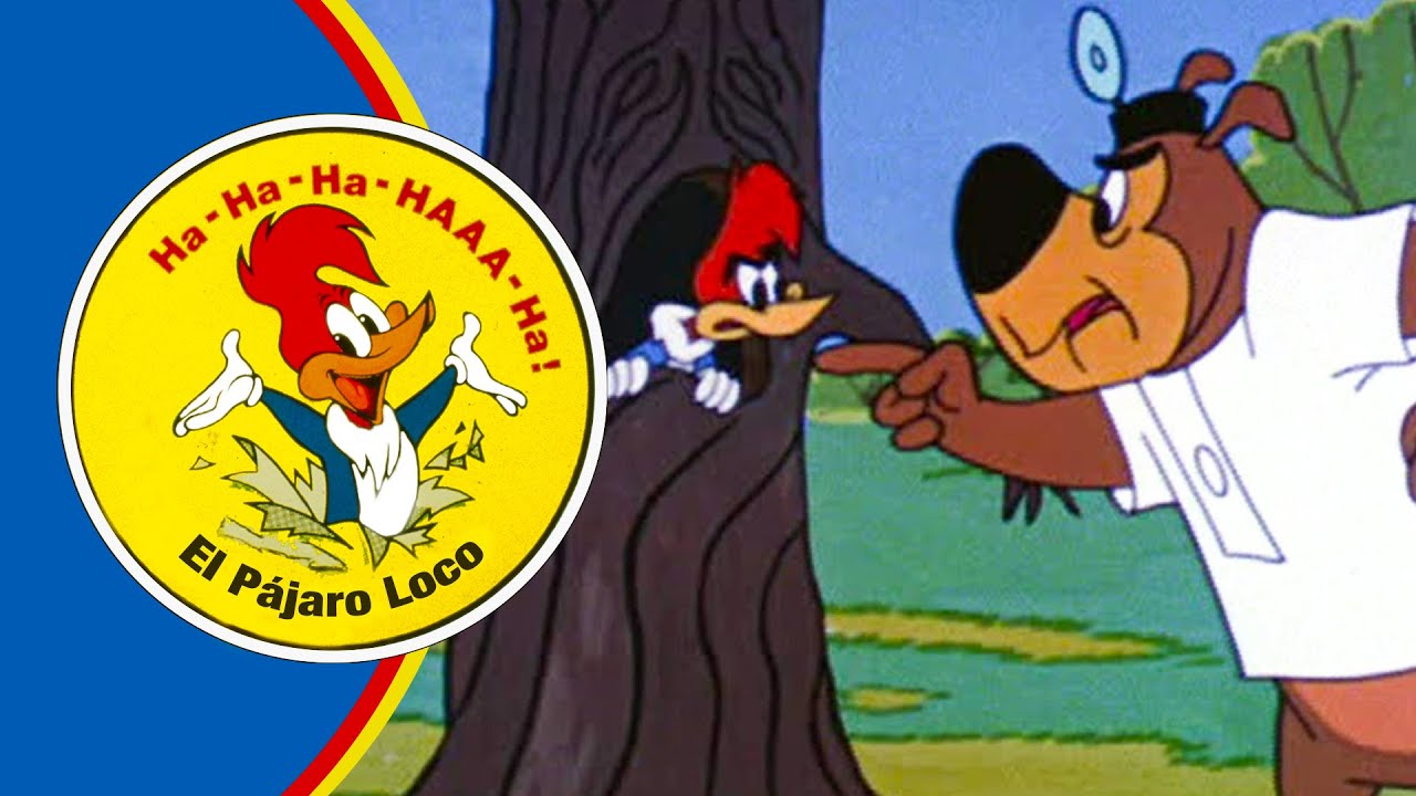 ¡No te metas con este árbol! | 2.5 Horas de Episodios Clásicos | El Pájaro Loco