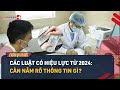 Tng quan cc lut c hiu lc t 2024  luatvietnam