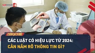 Tổng Quan Các Luật Có Hiệu Lực Từ 2024 | LuatVietnam