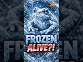This Frog Literally Freezes and Survives 😳