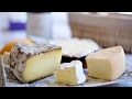 9 most popular  types of cheese  you must know  knowfacts