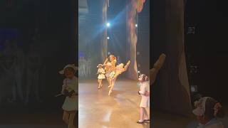 a little Marzipan to brighten your day 🌲🎁        #shorts #nutcracker #ballet #dancer