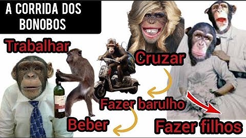 A corrida dos Bonobos é mil vezes pior que a corrida dos ratos