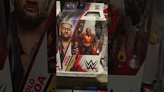 Wrestling Figure Display #codyrhodes #wwefan #wwe #wrestling #wweraw #rickysaints @wwe @wwemusic