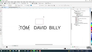 Corel Draw Tips & Tricks Make all name this same size Part 2 Macro