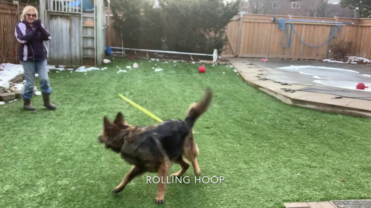 Rogue Tricks Feb 1,2020 - YouTube