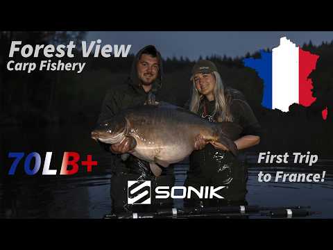 Forest view 2026 - OUR FIRST FRENCH TRIP! 70LB+