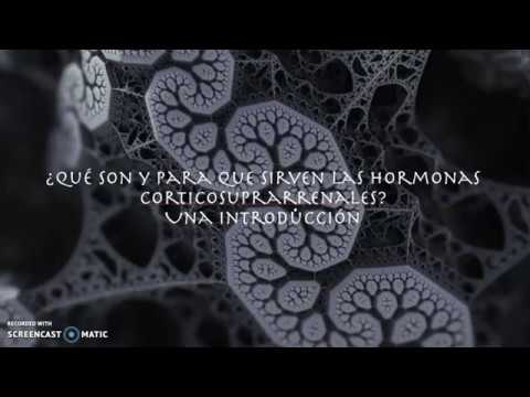 Vídeo: Regulación A La Baja Del Exosomal MiR-192-5p Y MiR-204-5p En Sujetos Con Exceso Aparente De Mineralocorticoides No Clásico