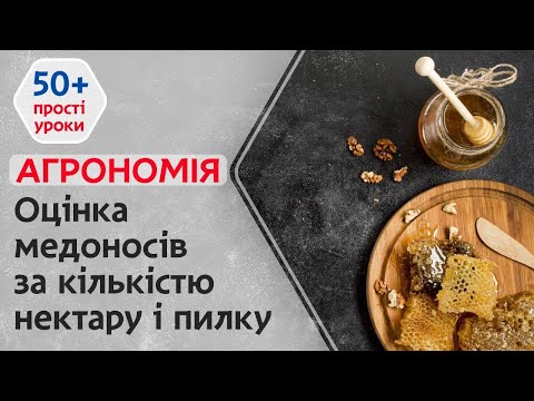 Агрономія | Оцінка медоносів за кількістю нектару і пилку | Прості уроки 50+