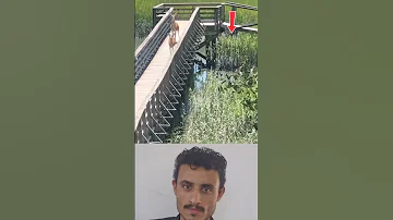 قفزن كأنهن ي سلمن أرواحهن للريح أو للقدر 