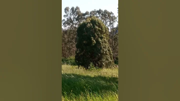 VID 20210902 125447