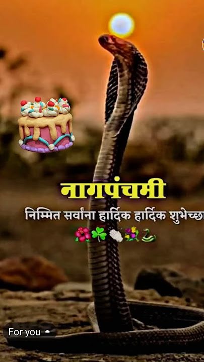 https://images.app.goo.gl/9bbvMhRr2E6eJaLr9 nag panchmi #funny #happybirthday 🎂🎂🙏🙏🙏