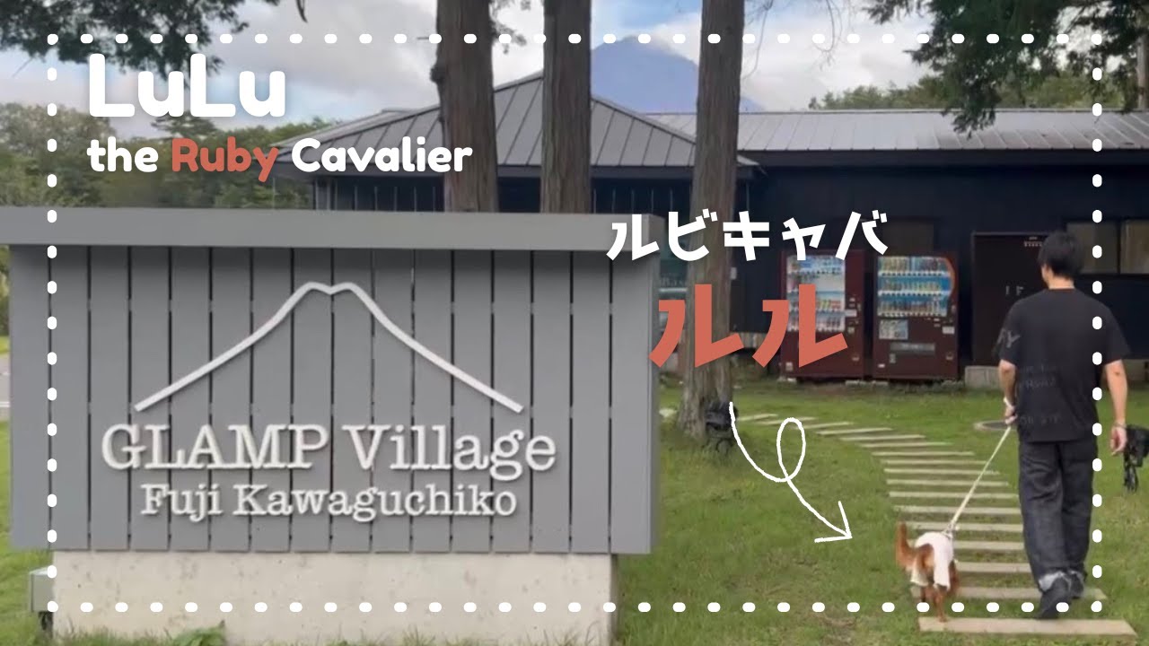 【ペットと泊まれる】グランピングヴィレッジ富士河口湖で初グランピング｜LFirst Dog-Friendly Glamping at Glamping Village Fuji Kawaguchiko