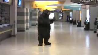 THE BEAR learns how to Sabre Dance