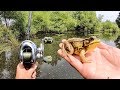 EXPERIMENT: FISHING WITH LIVE FROGS!!! (Surprising Results)