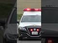 【職質のプロ!】埼玉県警察本部地域指導1