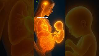 Fetal microchimerism