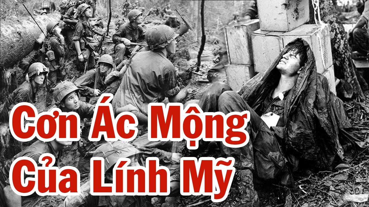 Một Trận Mà Mỹ Che Đậy Hơn 20 Năm – Trung Đoàn “Đói” Việt Cộng Diệt Gọn “Sư Tử Đen” Của Quân Đội Mỹ