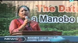 Manobos Lead Anti-Illegal Logging Campaign