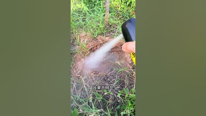 发现一个蚂蚁洞，我有一个大胆的想法#蚂蚁 - 天天要闻