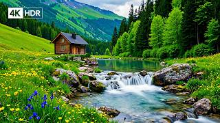 Healing Music for the Mind & Nervous System 🌿Beautiful Relaxing Music & Nature Sounds for Deep Sleep