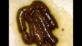 El Anticristo Critica A Los Bares De Pachuca